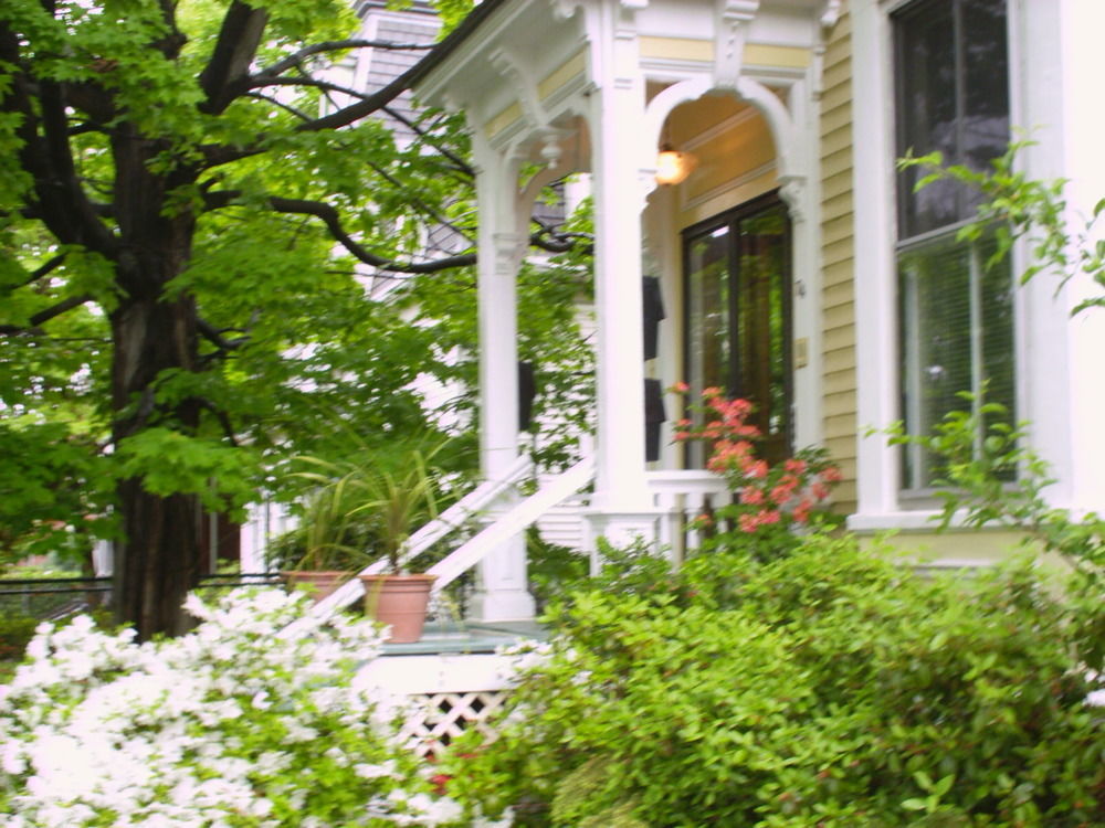 Parkside On Ellery Hotel Cambridge Kültér fotó